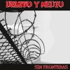DELITO Y MEDIO