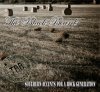 THE BLACK BEARDS Nuevo